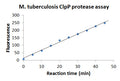 M. tuberculosis ClpP Protease Assay Kit – Figure 1 of 1