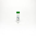 Anti-Iba1 Antibody Monoclonal Antibody – Figure 1 of 1