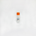 RBM20 Rabbit Polyclonal Antibody – Figure 1 of 1