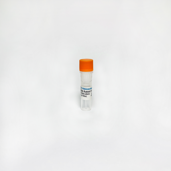 RBM20 Rabbit Polyclonal Antibody – Figure 1 of 1