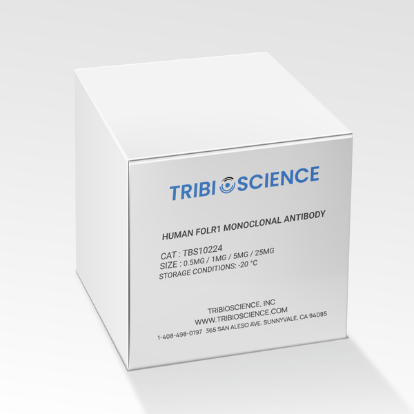 Anti-Human FOLR1 Human Monoclonal Antibody – Figure 1 of 1