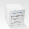Anti-Human Estrogen Receptor (ER) Alpha Rabbit Monoclonal Antibody – Figure 1 of 1