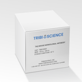 Taq Mouse Monoclonal Antibody – Figure 1 of 1