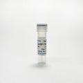 Anti-Mouse IGF-1 Monoclonal Antibody – Figure 1 of 1