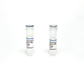 Monoclonal Antibody to Human IFN-Gamma (Detection) – Figure 1 of 1