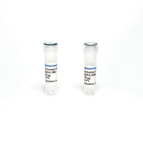 Monoclonal Antibody to Human IFN-Gamma (Detection) – Figure 1 of 1