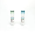 Monoclonal Antibody to Human IFN-Gamma (Detection), Biotin – Figure 1 of 1