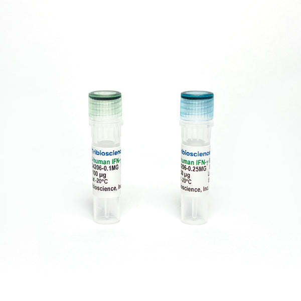 Monoclonal Antibody to Human IFN-Gamma (Detection), Biotin – Figure 1 of 1