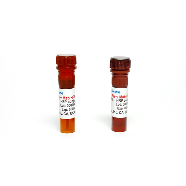 Monoclonal Antibody to Human IFN-Gamma, HRP – Figure 1 of 1