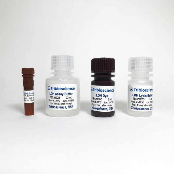LDH Cytotoxicity Colorimetric Assay Kit