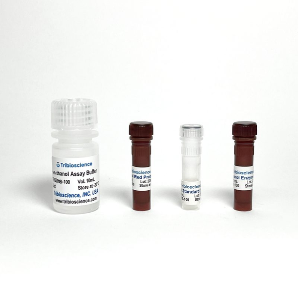 Methanol Assay Kit