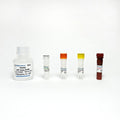 ADP Colorimetric/Fluorometric Assay Kit