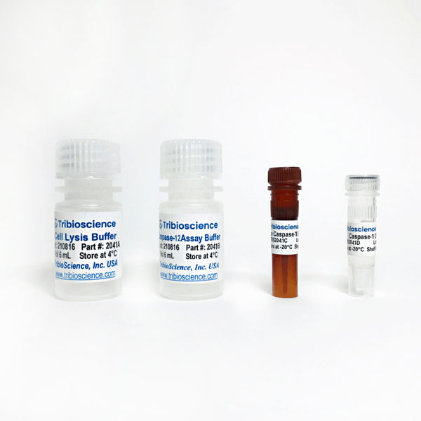 Caspase-12 Fluorometric Assay Kit