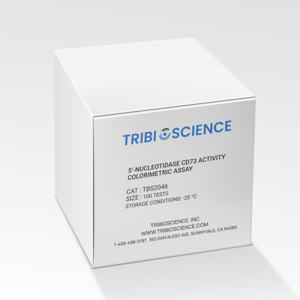 5'-Nucleotidase CD73 Activity Colorimetric Assay Kit