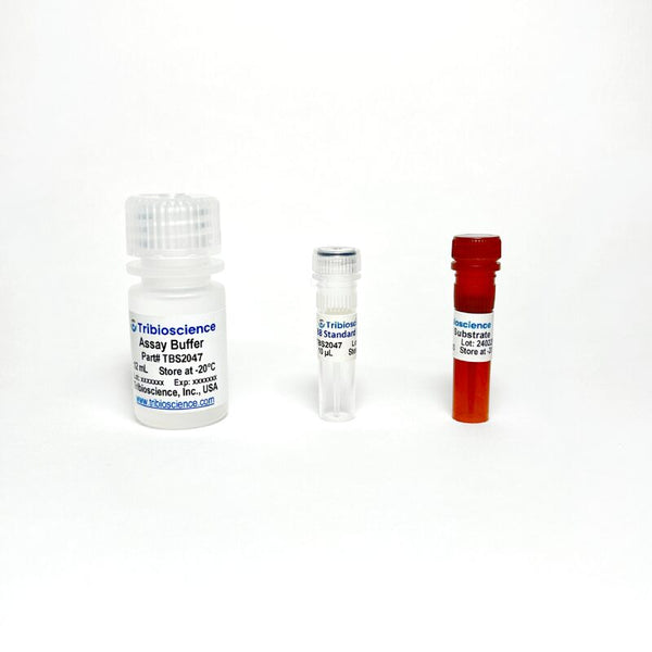 CD38 Hydrolase Activity Fluorometric Assay Kit