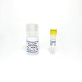 Mitochondrial Membrane Potential Assay Kit