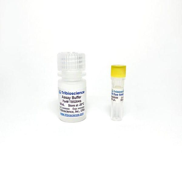 Mitochondrial Membrane Potential Assay Kit