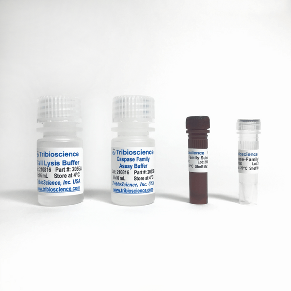 Caspase-Family Fluorometric Assay Kit