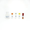 Adenosyl Homocysteinase (AHCY) Fluorometric Assay Kit
