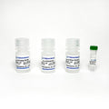 Acid Phosphatase Activity Colorimetric Assay Kit