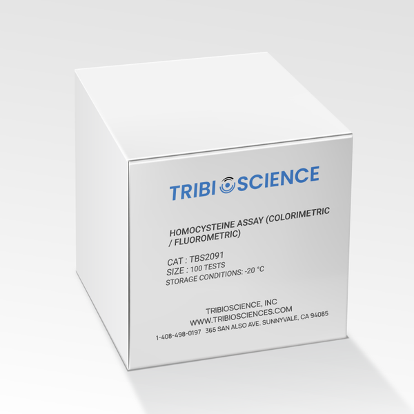 Homocysteine Colorimetric/Fluorometric Assay Kit