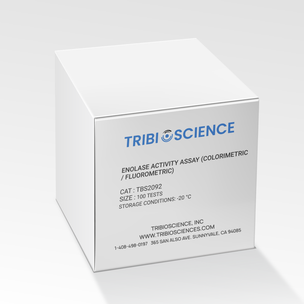 Enolase Activity Colorimetric/Fluorometric Assay Kit