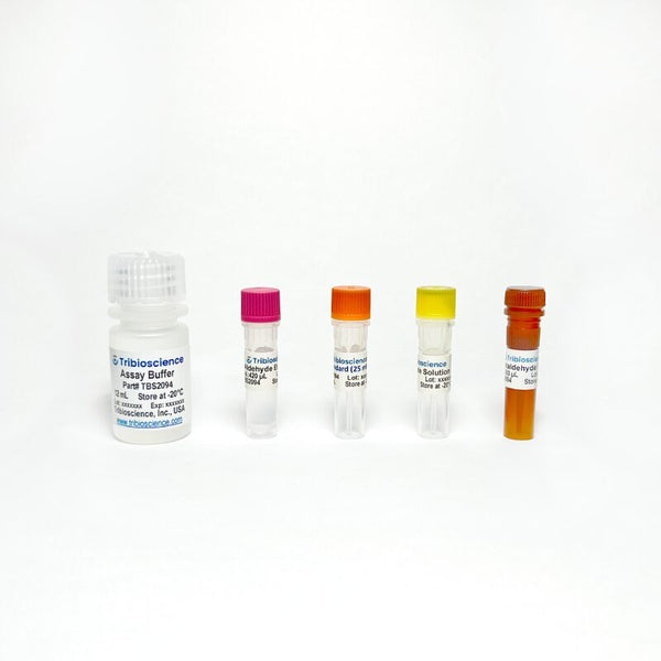 Acetaldehyde Fluorometric Assay Kit