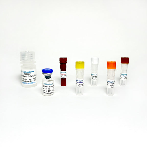 NNMT Inhibitor Screening Colorimetric/Fluorometric Assay Kit