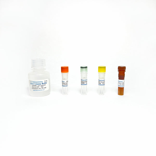 AHCY Inhibitor Screening Fluorometric Assay Kit