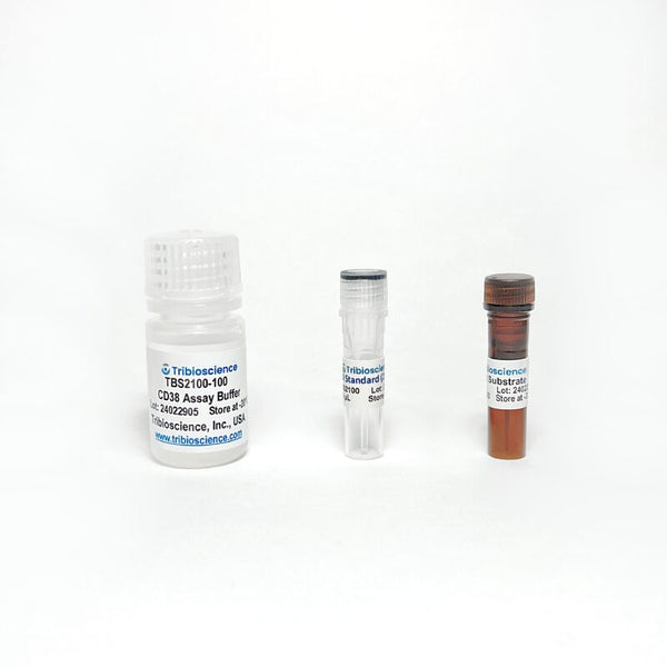 CD38 (Cyclase) Activity Fluorometric Assay Kit