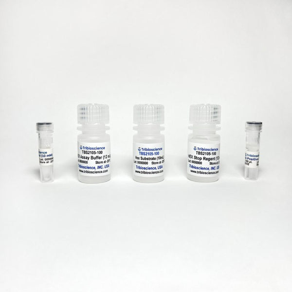 Beta-N-Acetylglucosaminidase (Beta-NAG) Activity Fluorometric Assay Kit