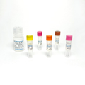 Hexokinase Activity Fluorometric Assay Kit