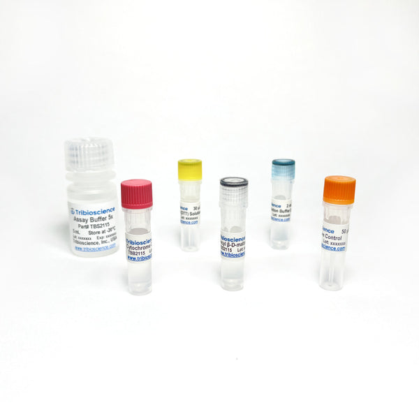 Cytochrome C Oxidase Activity Assay Kit