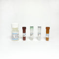 Cytochrome C Reductase Activity Assay Kit