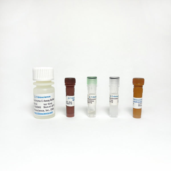 Cytochrome C Reductase Activity Assay Kit