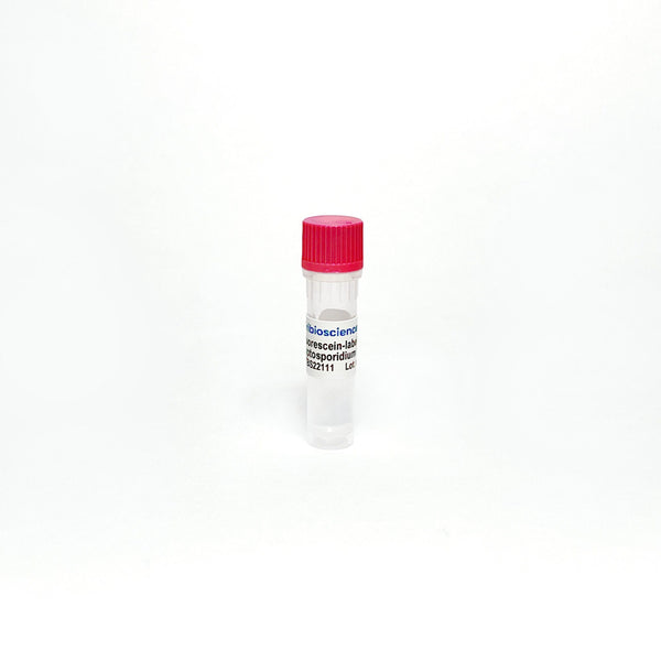 Fluorescein-labeled Anti-Cryptosporidium Antibody – Figure 1 of 1