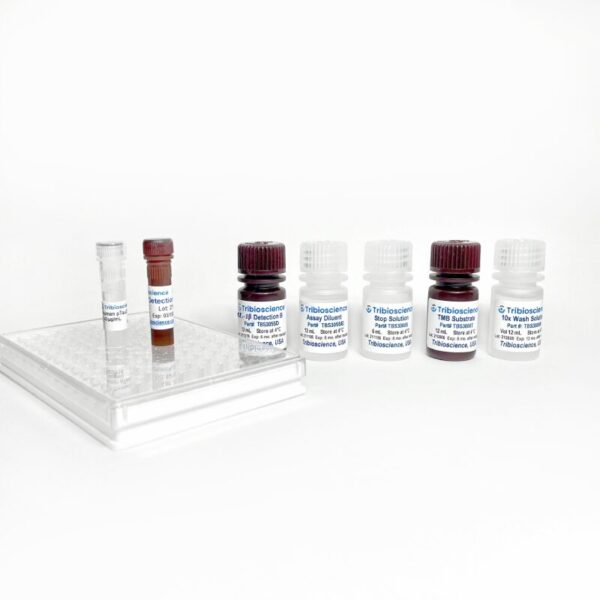 Rat IL-1β ELISA Kit – Figure 1 of 4