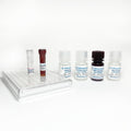 Mouse Tyrosine Hydroxylase/TH ELISA Kit – Figure 1 of 2