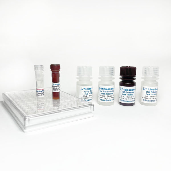 Mouse Tyrosine Hydroxylase/TH ELISA Kit – Figure 1 of 2