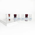 Botulinum Neurotoxin Type E (BoNT-E) ELISA Kit – Figure 1 of 4