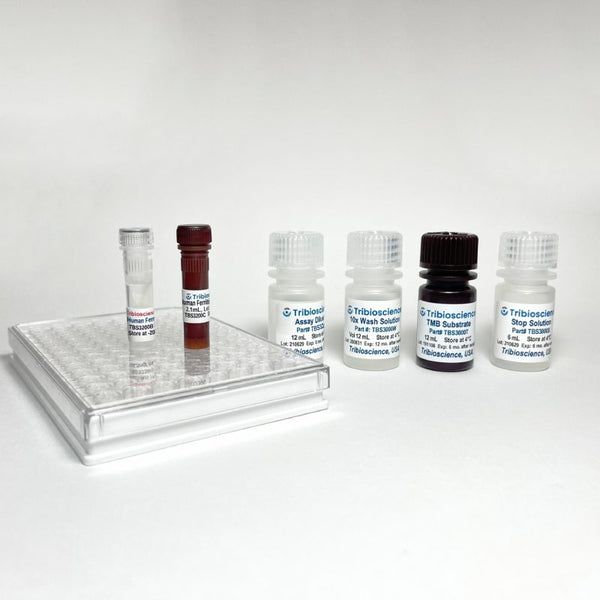 Fast Human Ferritin ELISA Kit – Figure 1 of 4