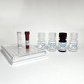 Human D-Dimer ELISA Kit – Figure 1 of 4