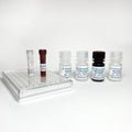 Human Neurofilament-Light Chain (NF-L) ELISA Kit – Figure 1 of 4