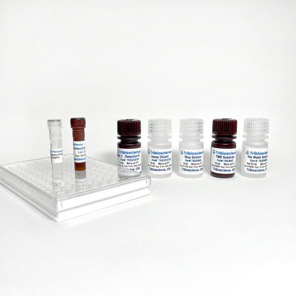 Human UCHL1/PGP9.5 ELISA Kit – Figure 1 of 4