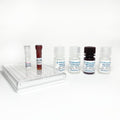 Global Tri-Methyl Histone H3K4 Quantification Kit (Colorimetric) – Figure 1 of 2