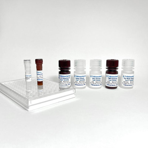 Human IL-10 ELISA Kit – Figure 1 of 4