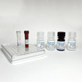 Tribo™ Human IFN-γ ELISA Kit – Figure 1 of 4