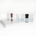 Ultra-Sensitive Human IFNγ ELISA Kit – Figure 1 of 4