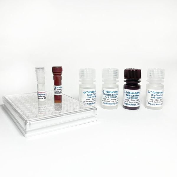 Ultra-Sensitive Human IFNγ ELISA Kit – Figure 1 of 4