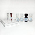 Fast Human Total-H2AX ELISA Kit – Figure 1 of 4